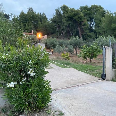 Askalosia Villa Agios Georgios  Eksteriør billede