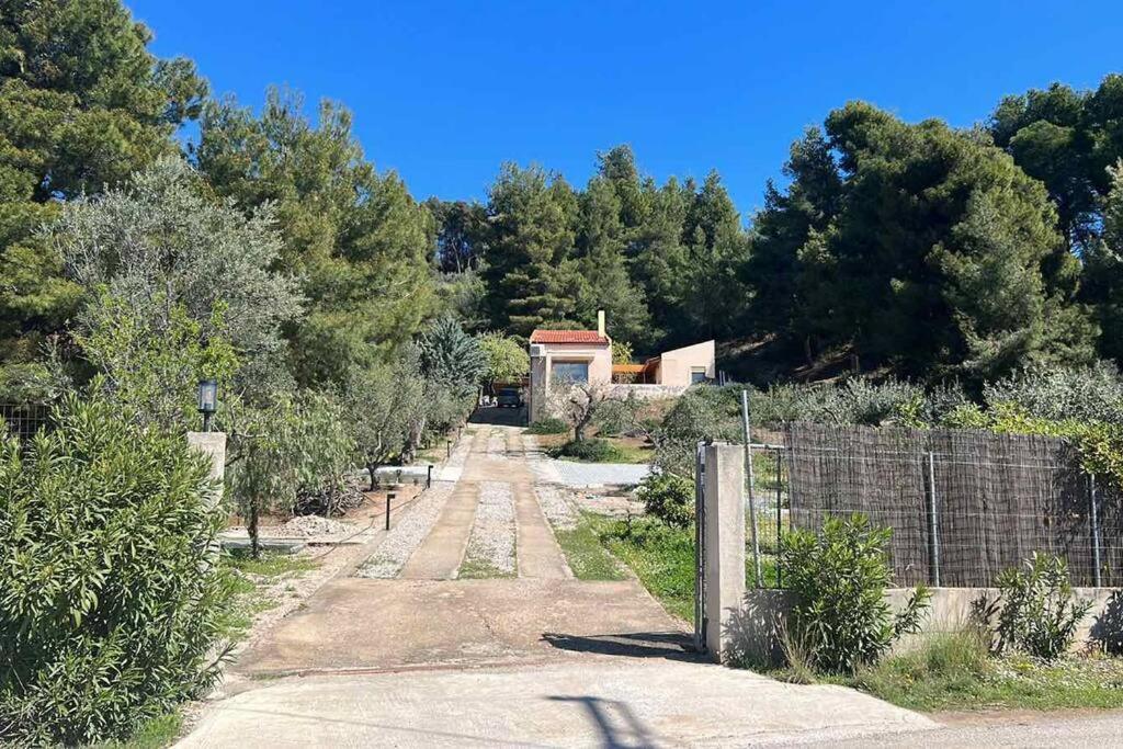 Askalosia Villa Agios Georgios  Eksteriør billede