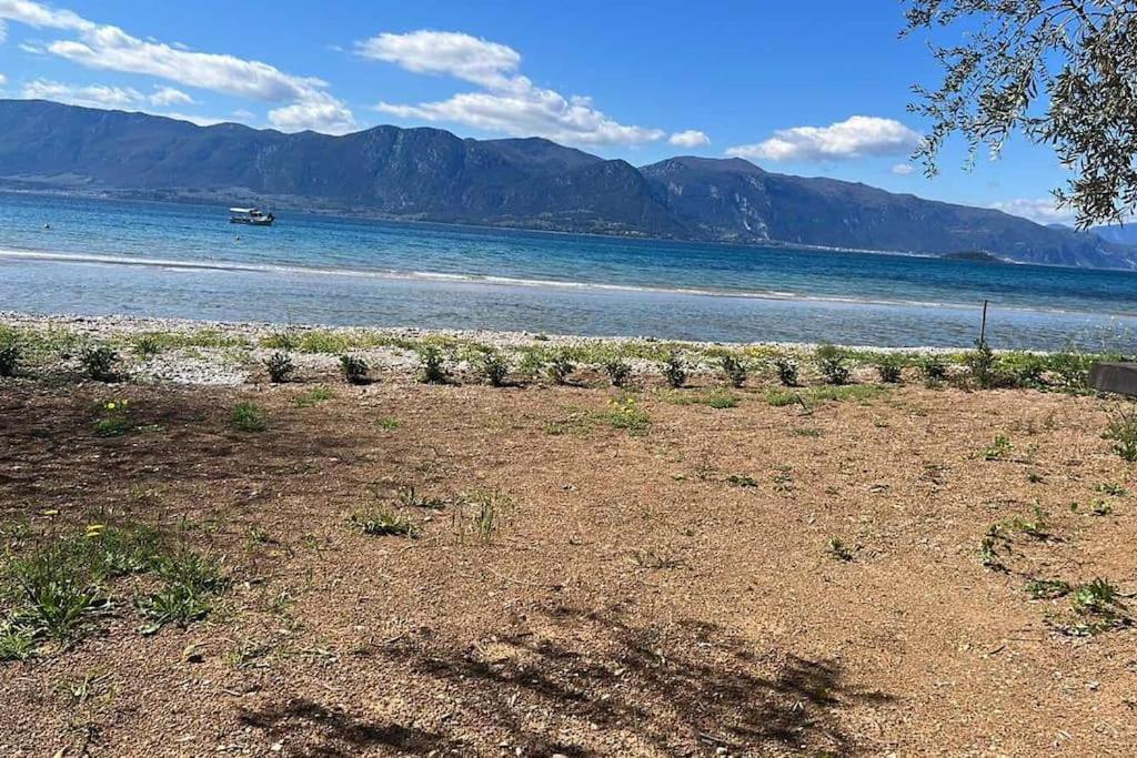 Askalosia Villa Agios Georgios  Eksteriør billede