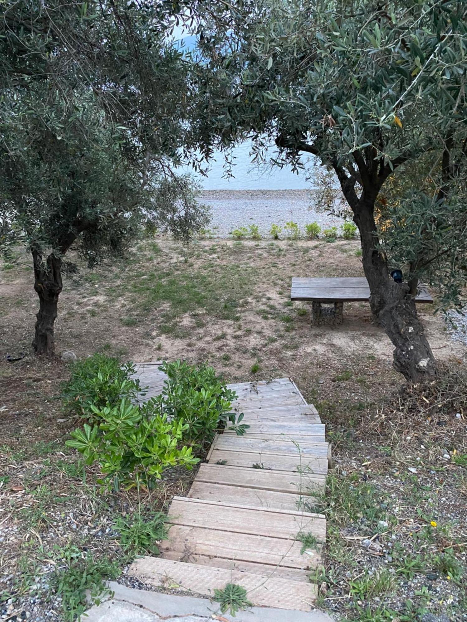 Askalosia Villa Agios Georgios  Eksteriør billede