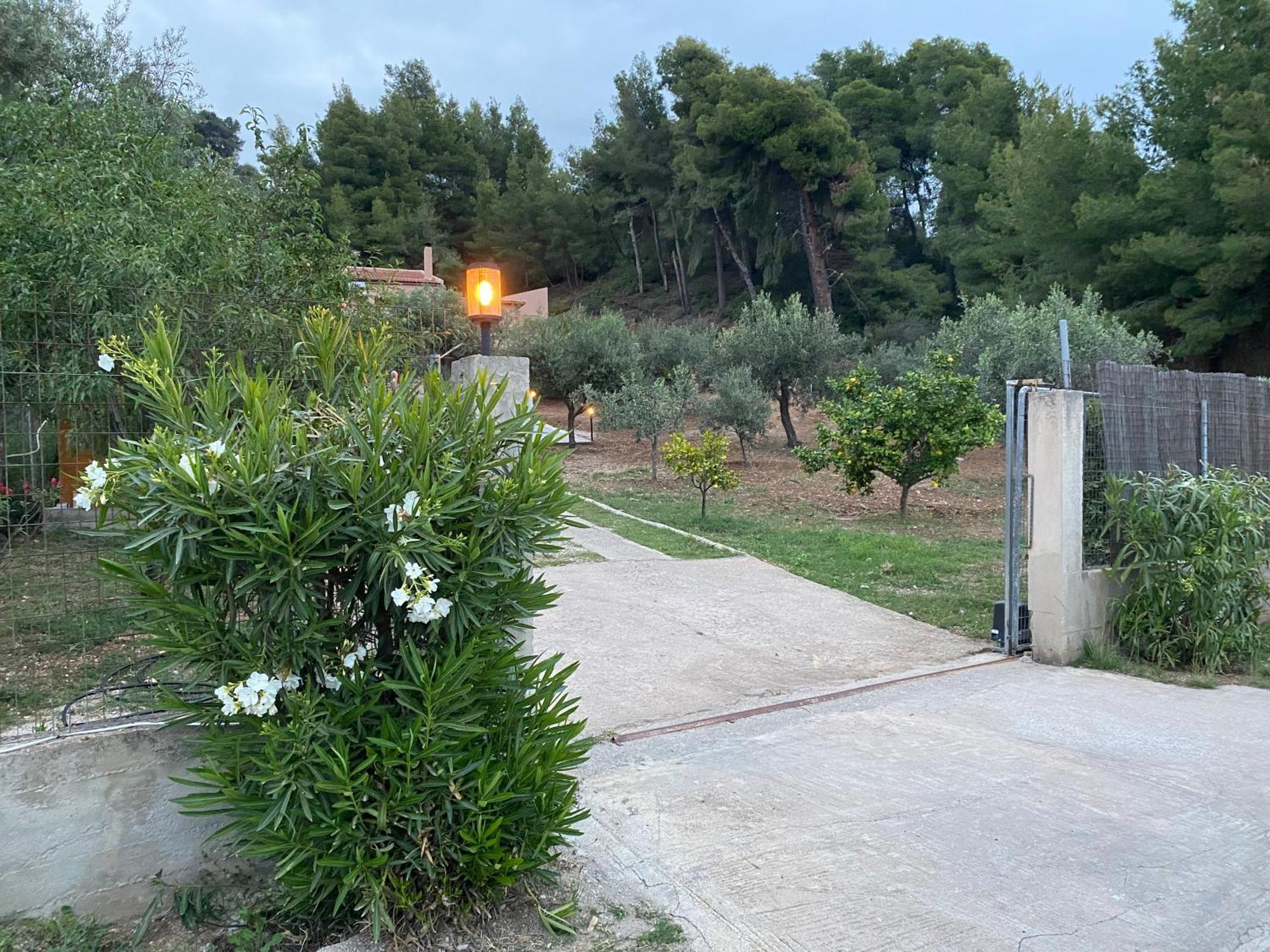 Askalosia Villa Agios Georgios  Eksteriør billede