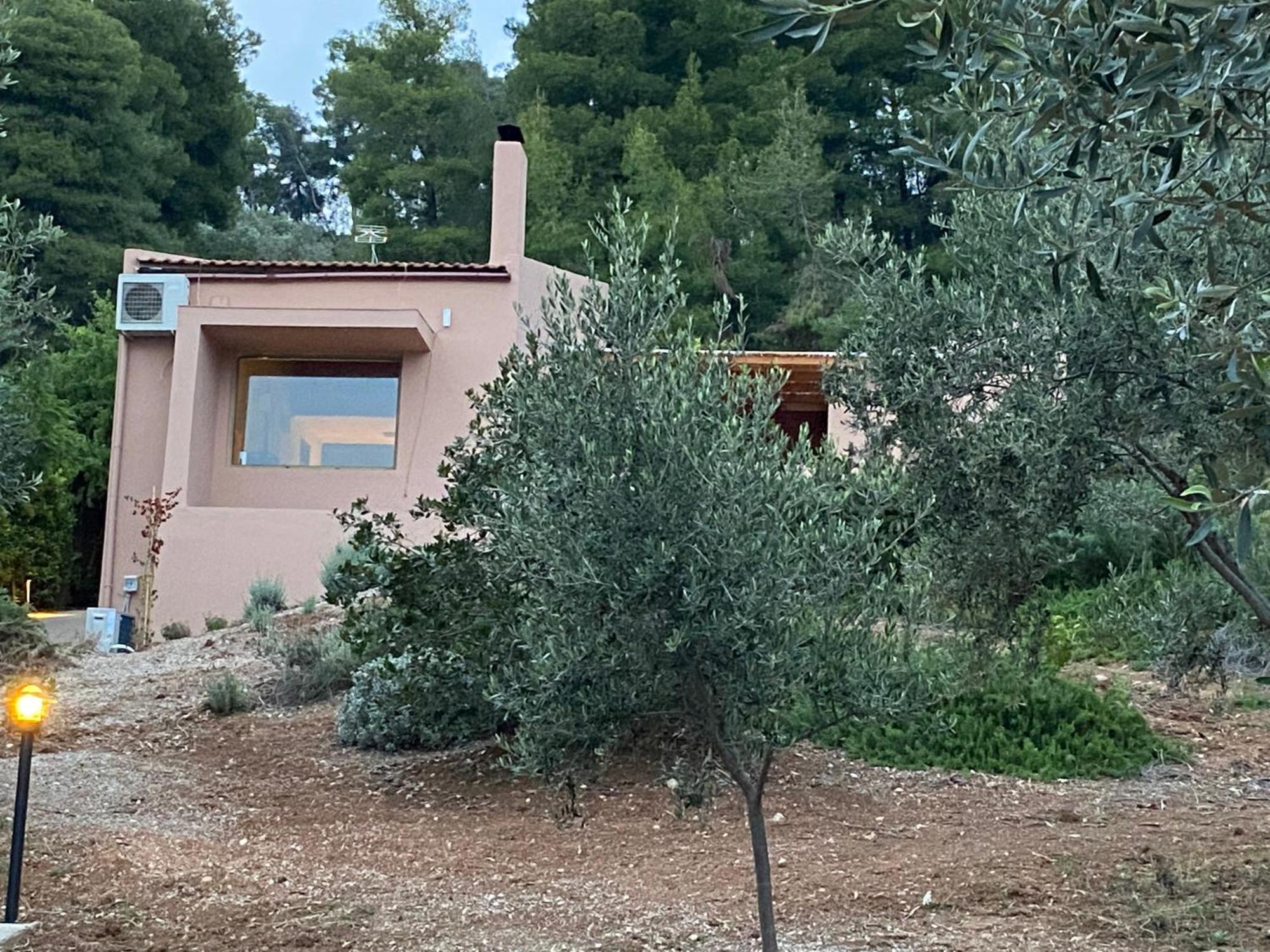 Askalosia Villa Agios Georgios  Eksteriør billede