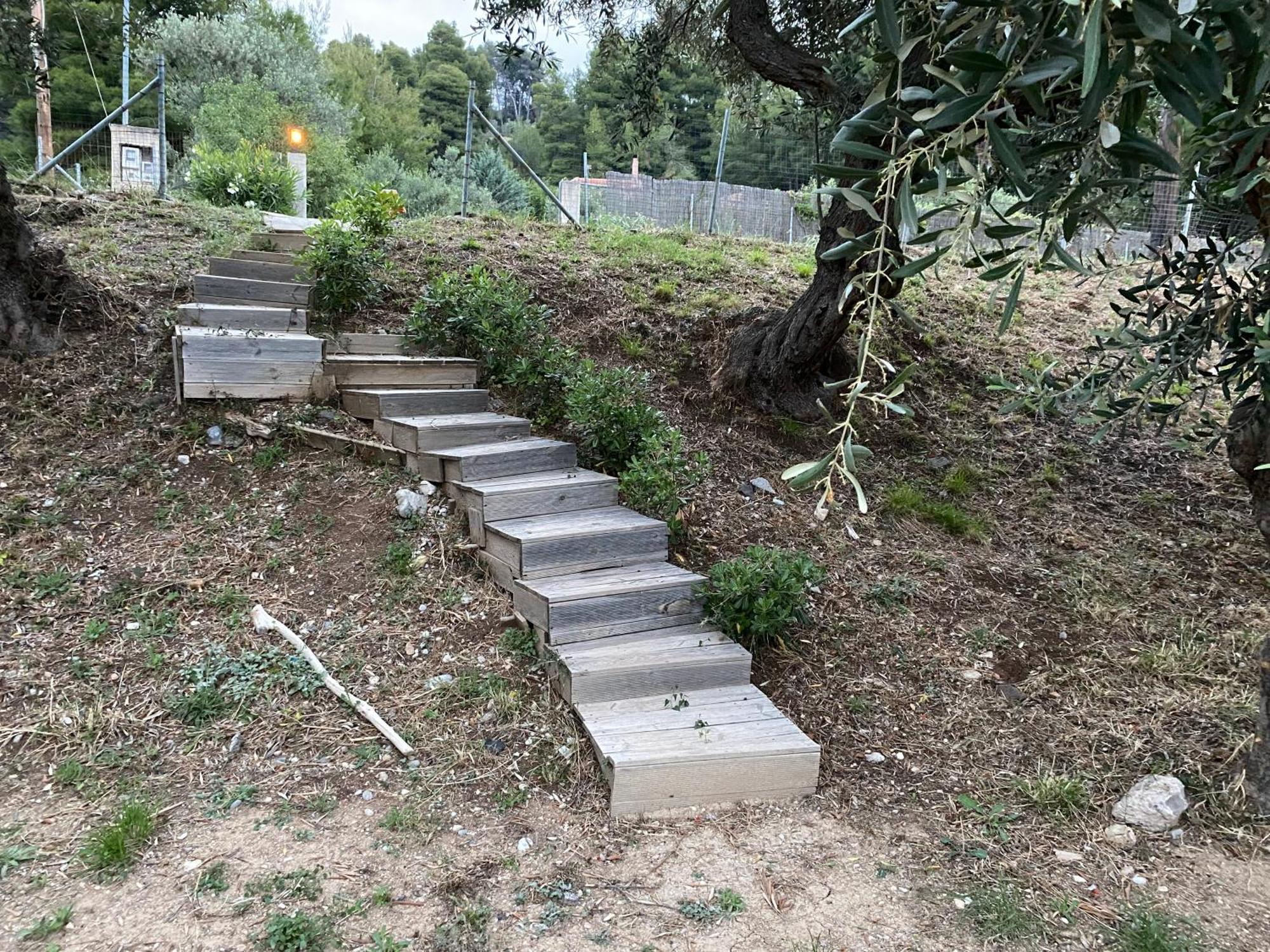 Askalosia Villa Agios Georgios  Eksteriør billede