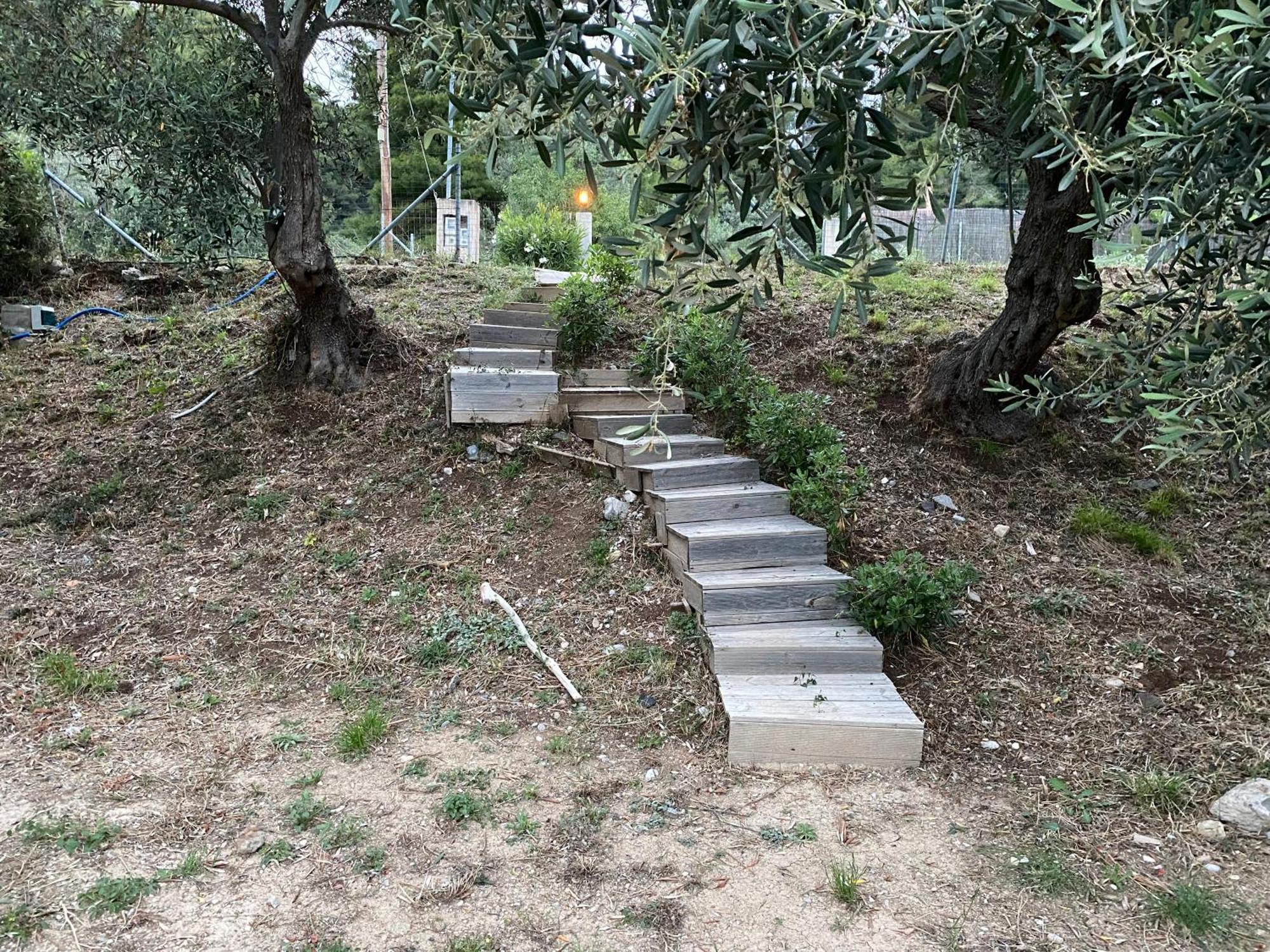 Askalosia Villa Agios Georgios  Eksteriør billede